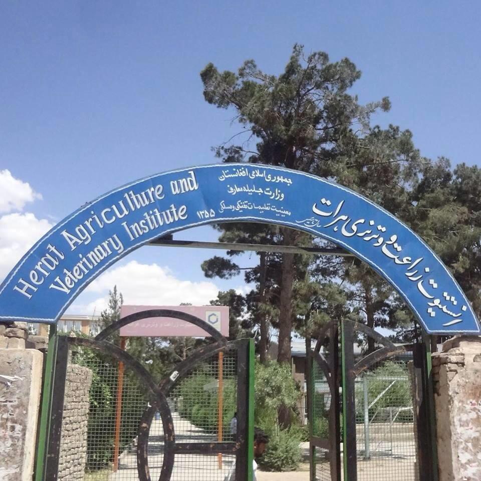 Herat Agriculture & Veterinary Institute