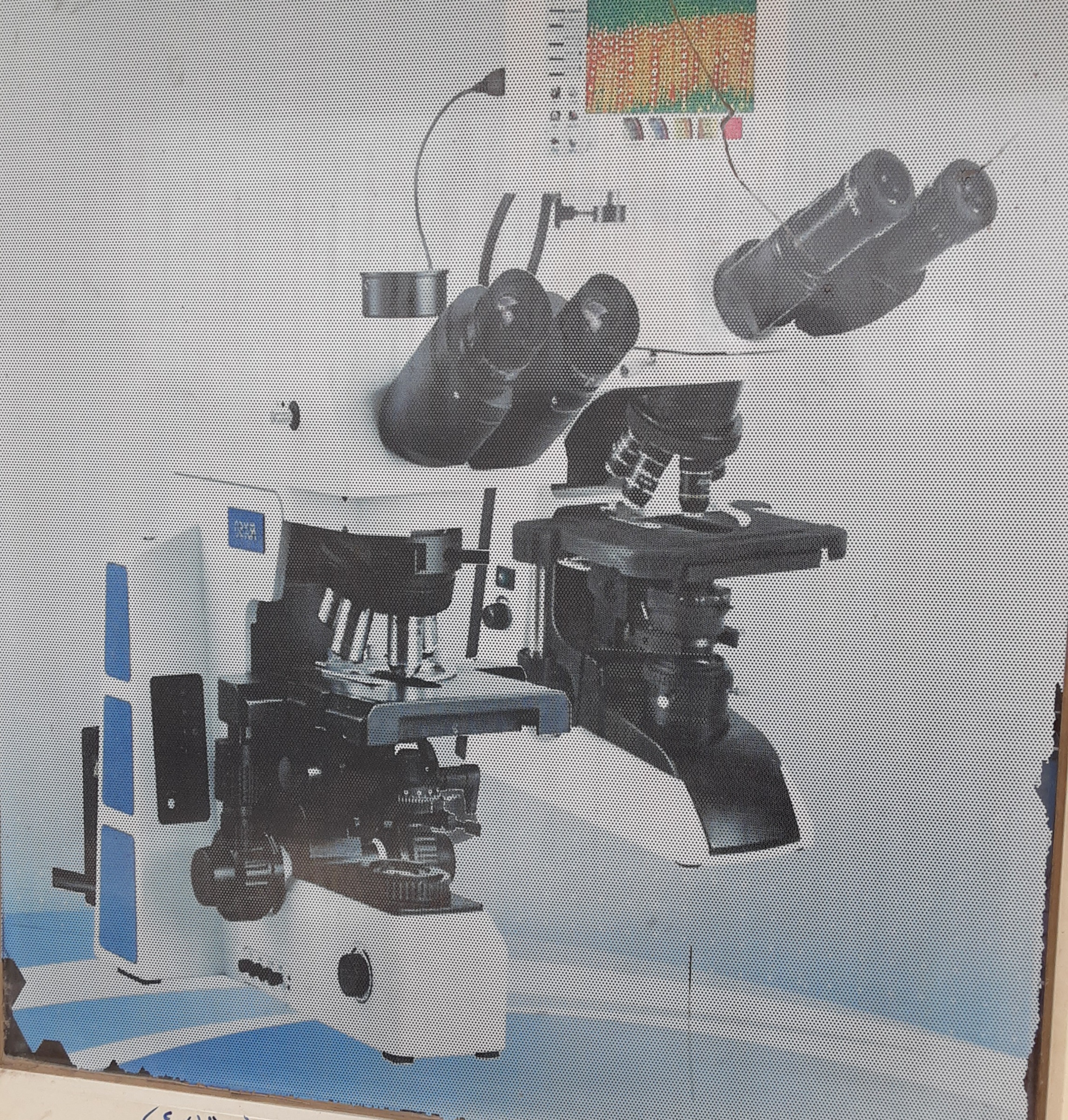 Sarwari Asri Medical Laboratory
