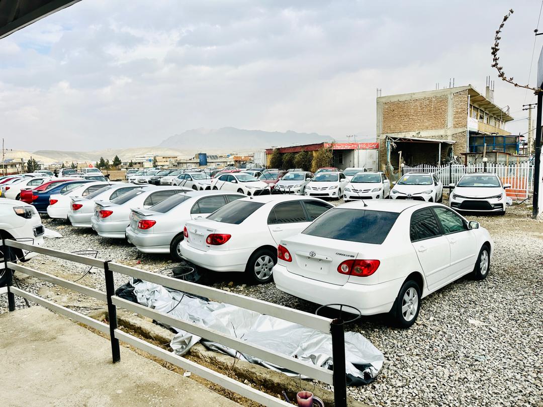 Aimal Safi Car Exhibition