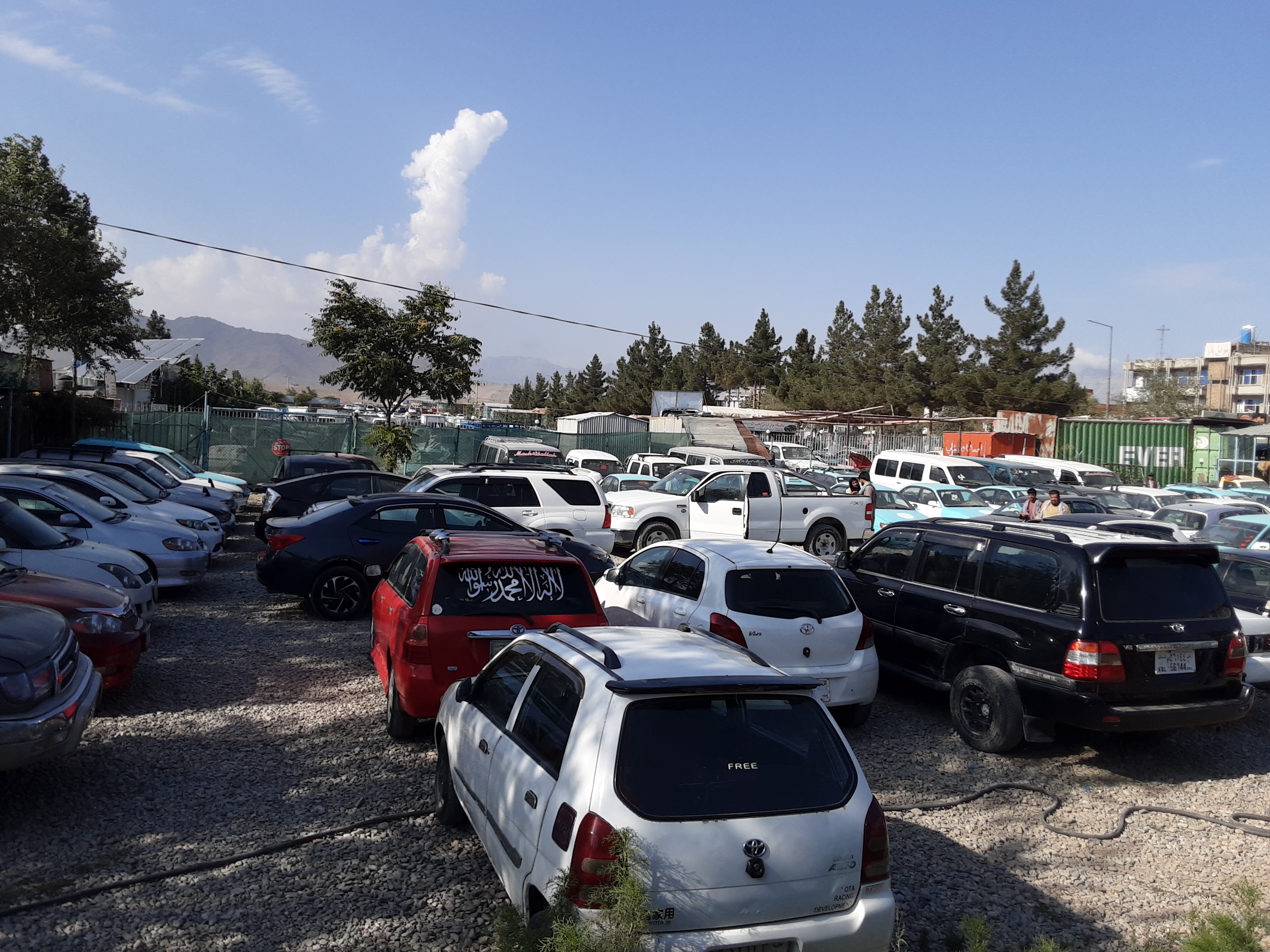 Raees Qalandari Totakhil Car Exhibition
