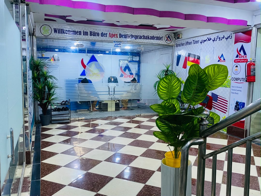 Apex Languages Academy