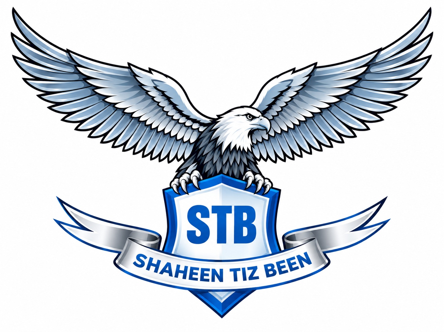 Shaheen Tiz Been IT Solution